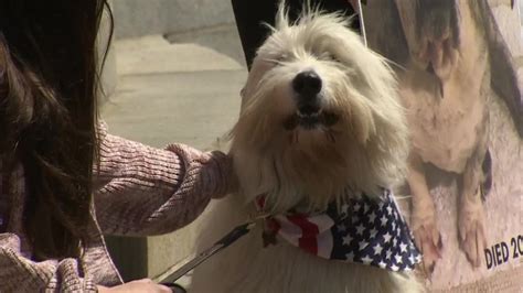 Members of Ollie’s Law Coalition hold rally at State House to protect pets